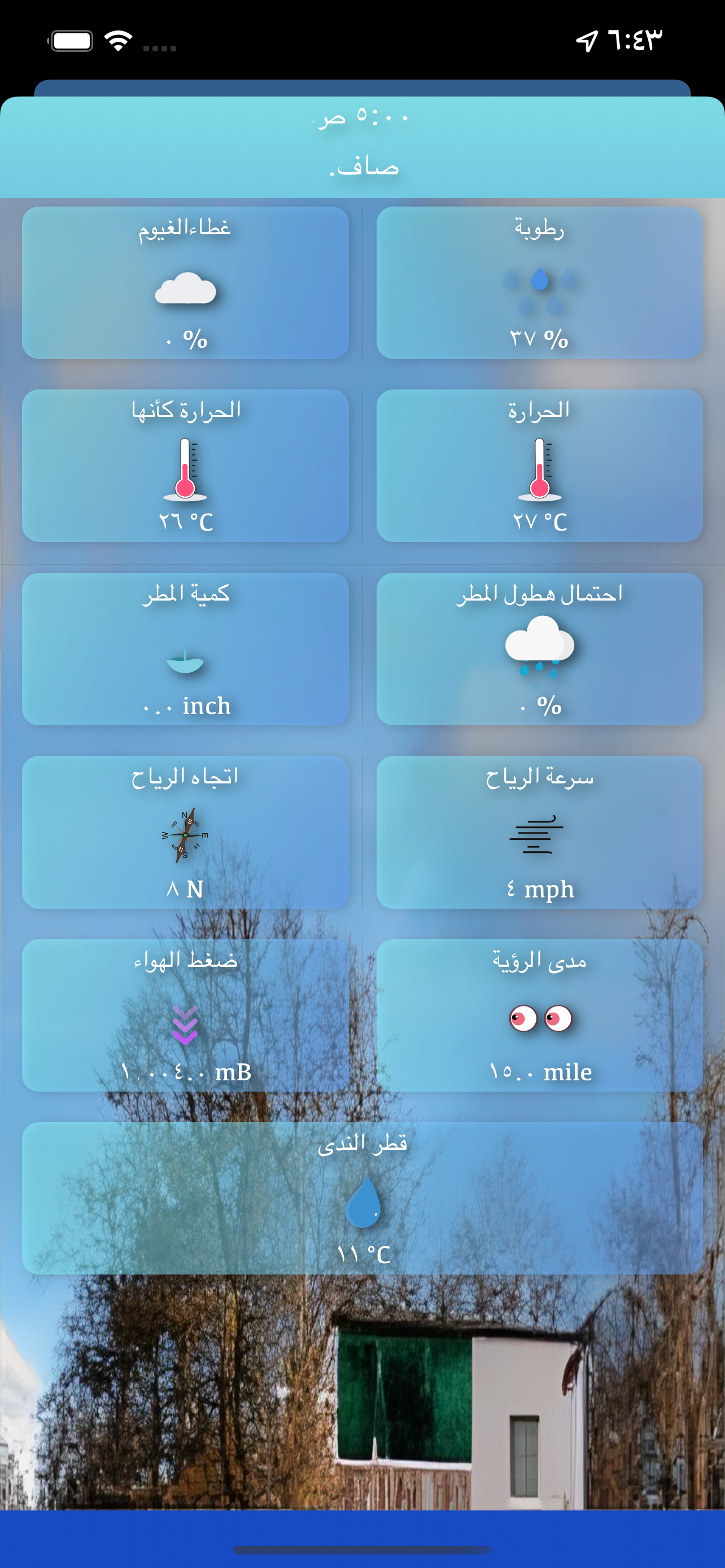 Weather: it is nice outside + media 8