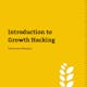 Introduction to Growth Hacking