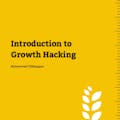 Introduction to Growth Hacking