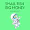 Small Fish Big Money podcast