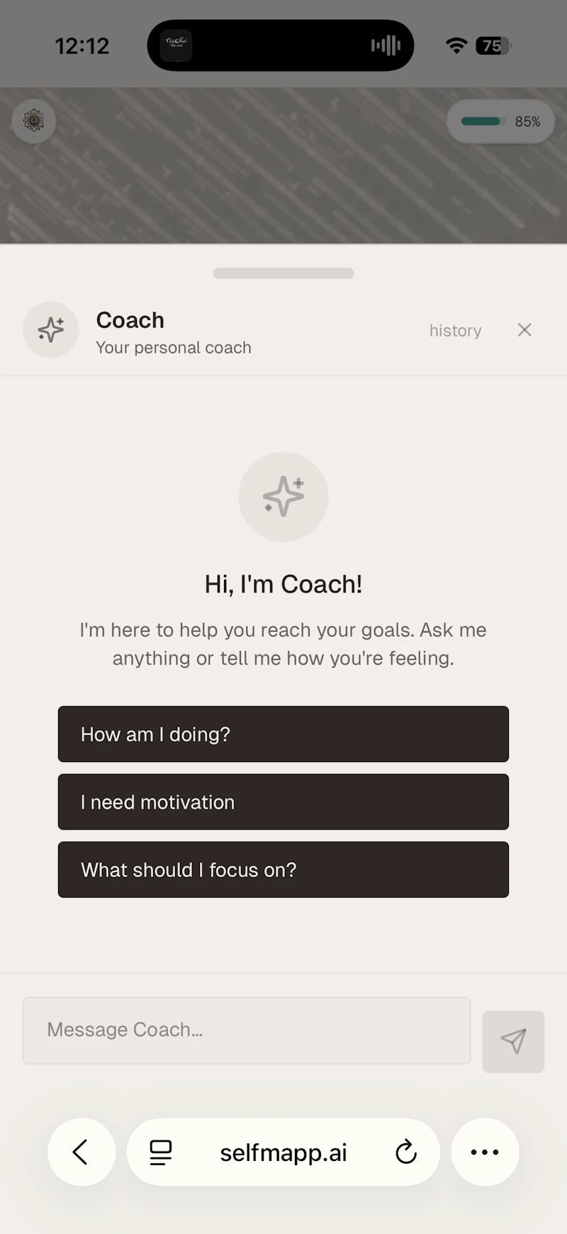 selfmapp.ai screenshot 5