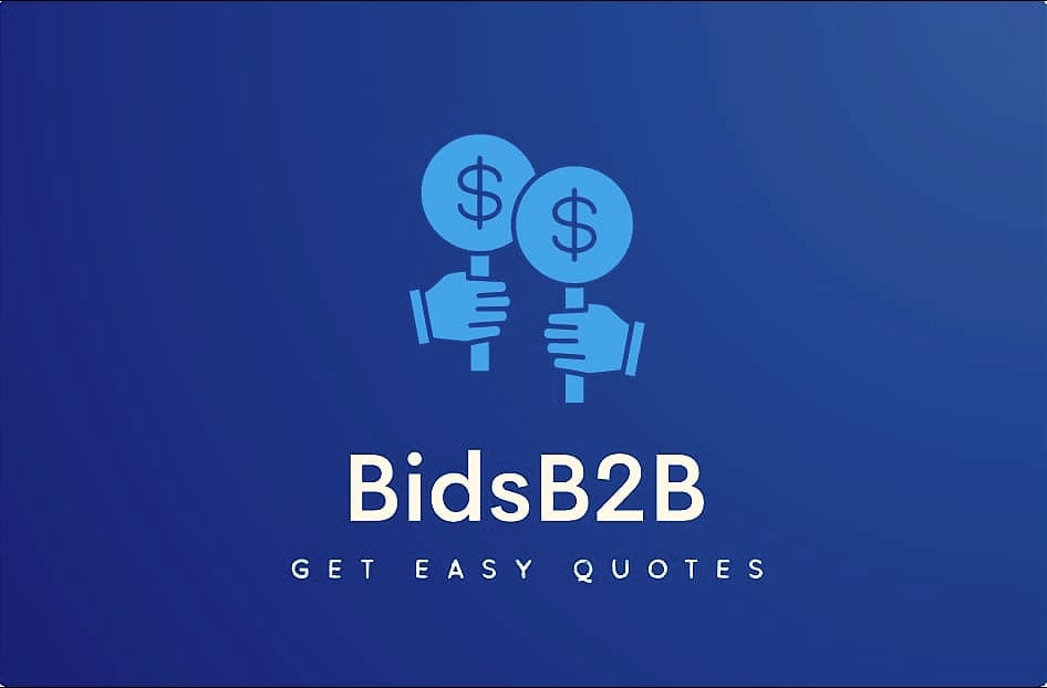 BidsB2B