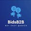 BidsB2B