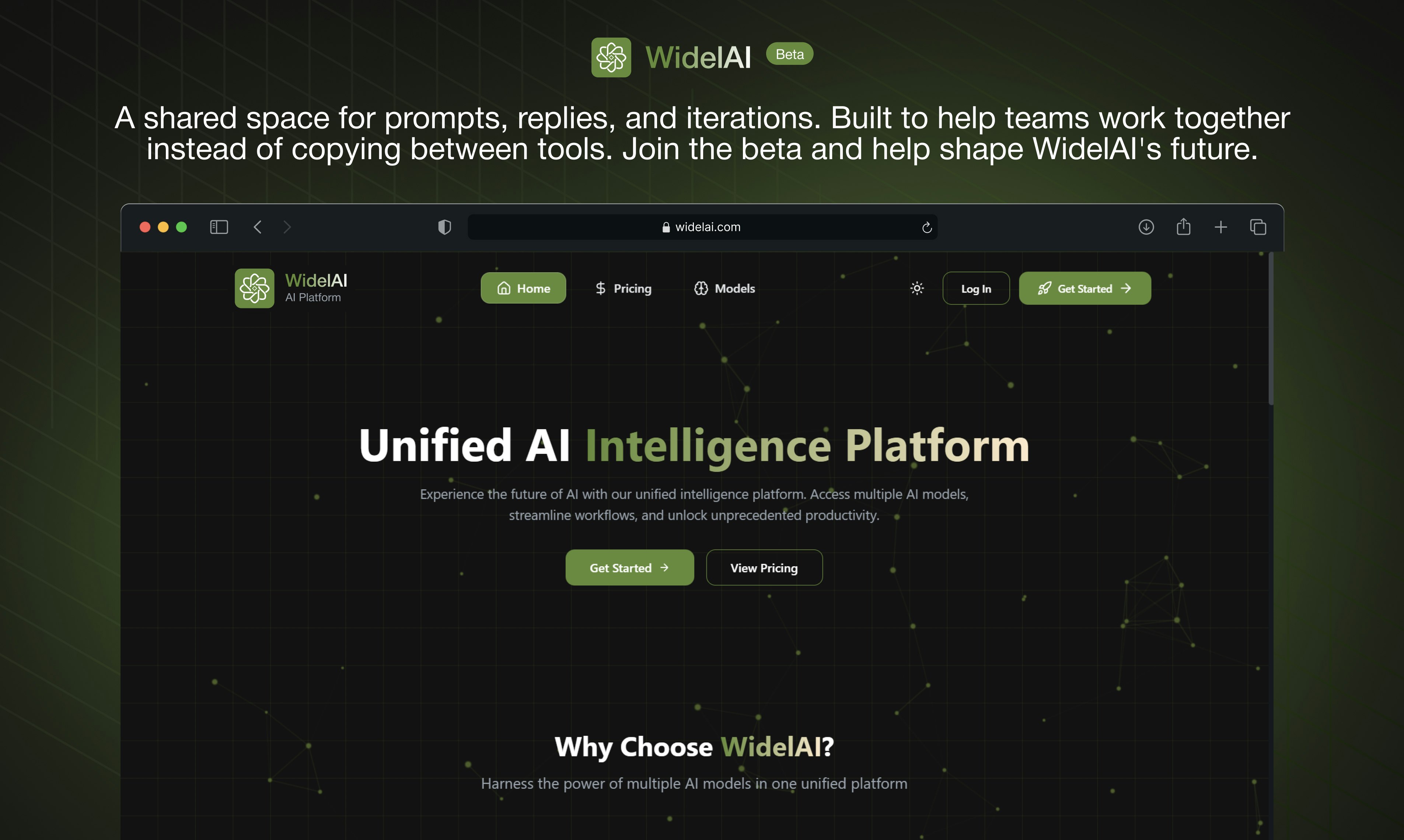 WidelAI gallery image