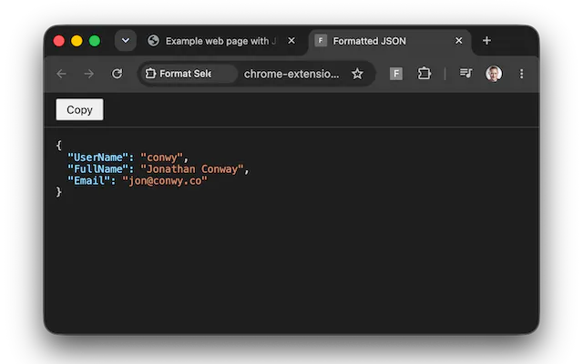 JSON Selection Formatter gallery image