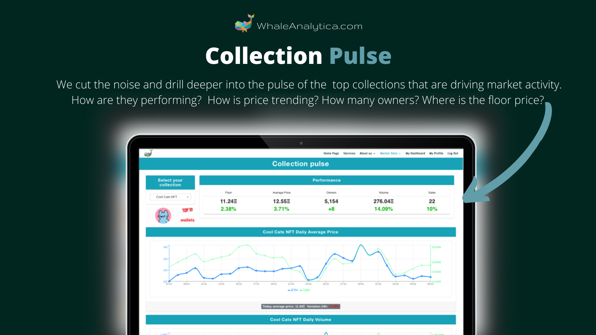 Whale Analytica gallery image