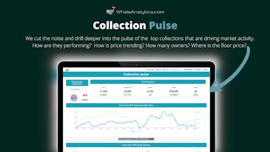 Whale Analytica gallery image