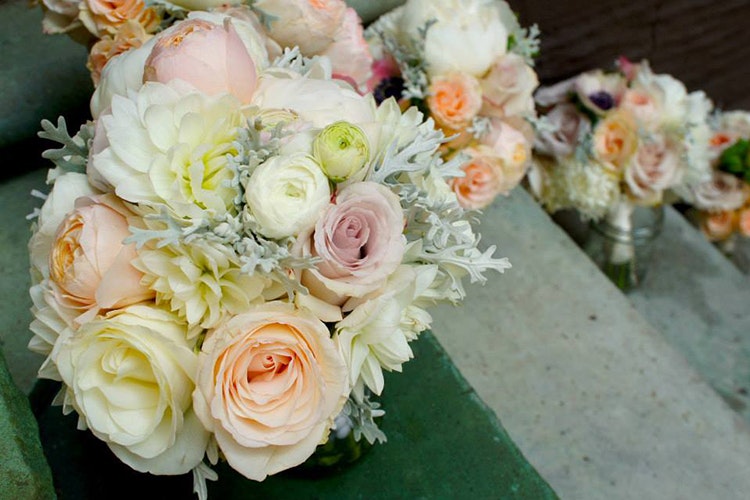 Fiestah gallery image