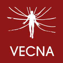 Vecna - Product Hunt launch logo and brand identity