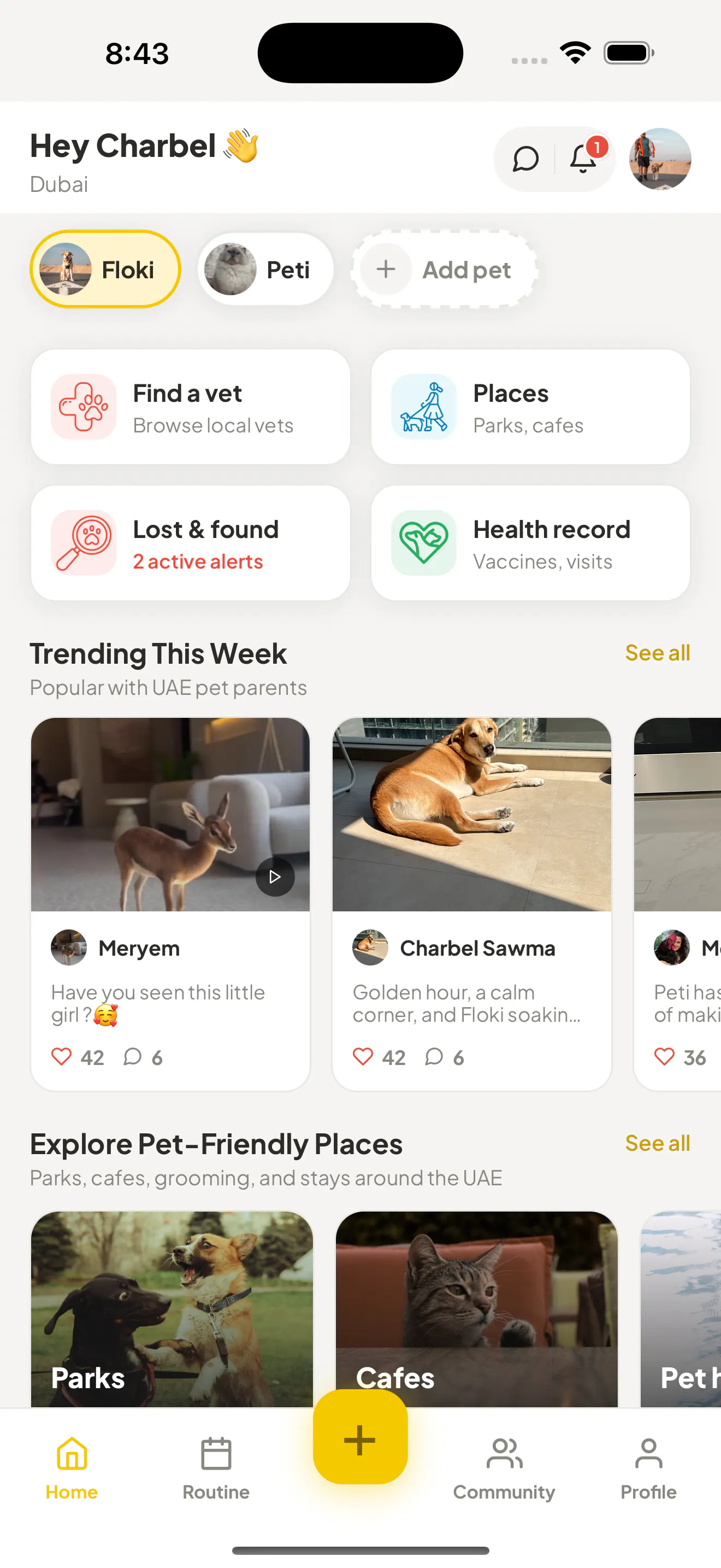 PetsGo gallery image