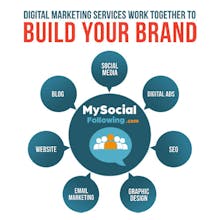 My Social Following gallery image