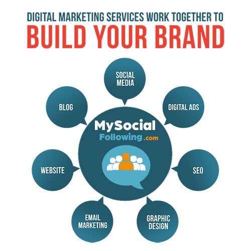 My Social Following - World Class Social Media Promotion media 2