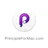 Principle 6