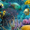 Amazing World Ocean
