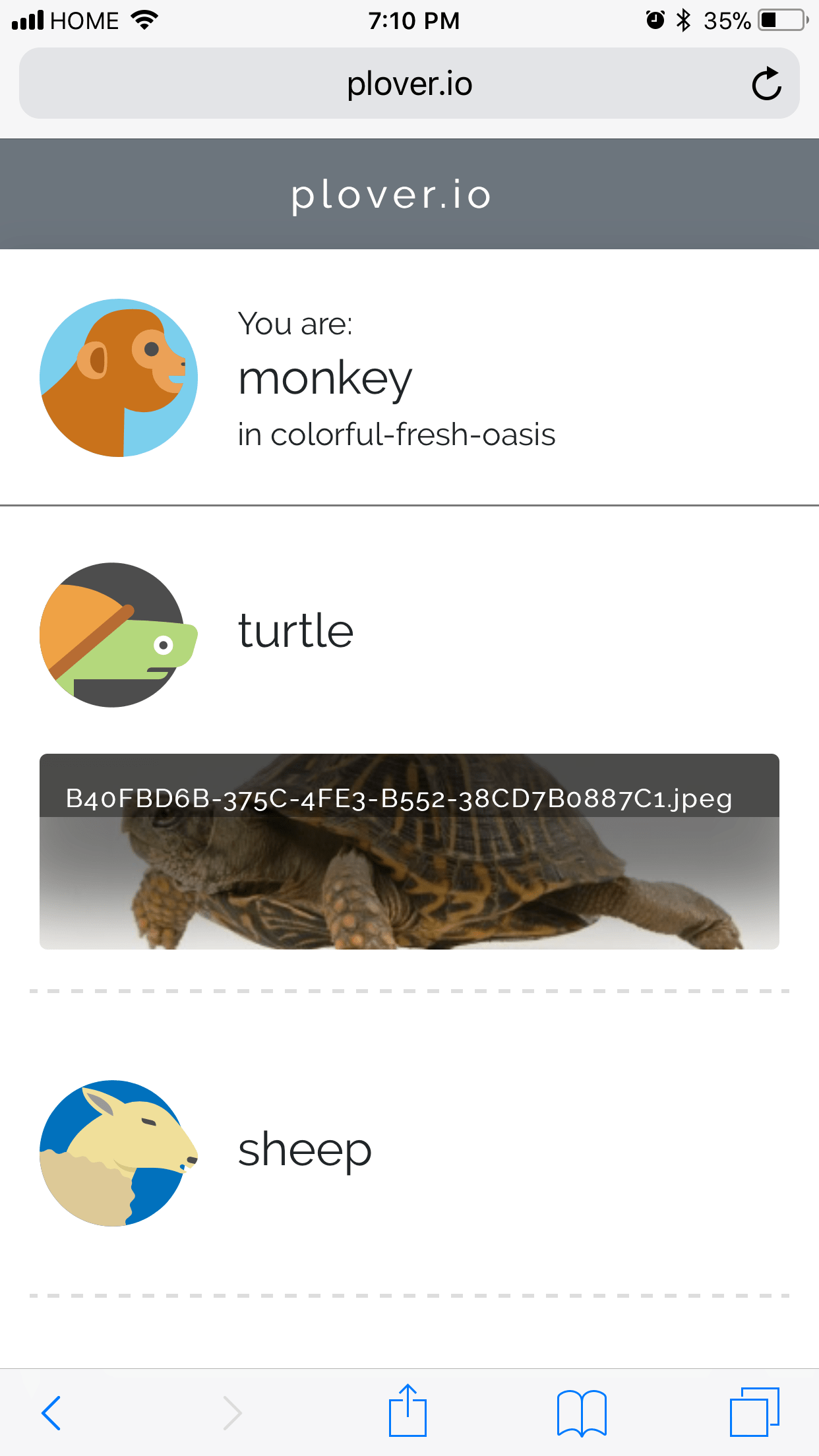 Plover gallery image