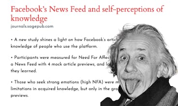 Bullets.news gallery image