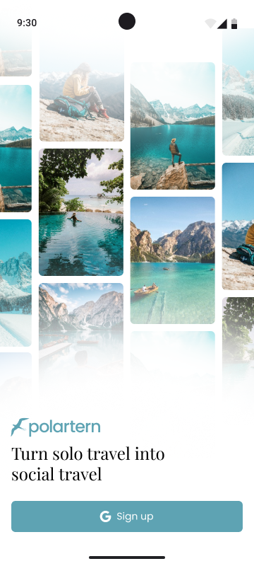 Polartern gallery image