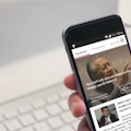 SPOT News