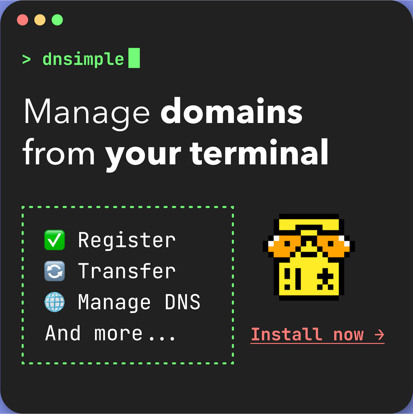 DNSimple CLI screenshot 4
