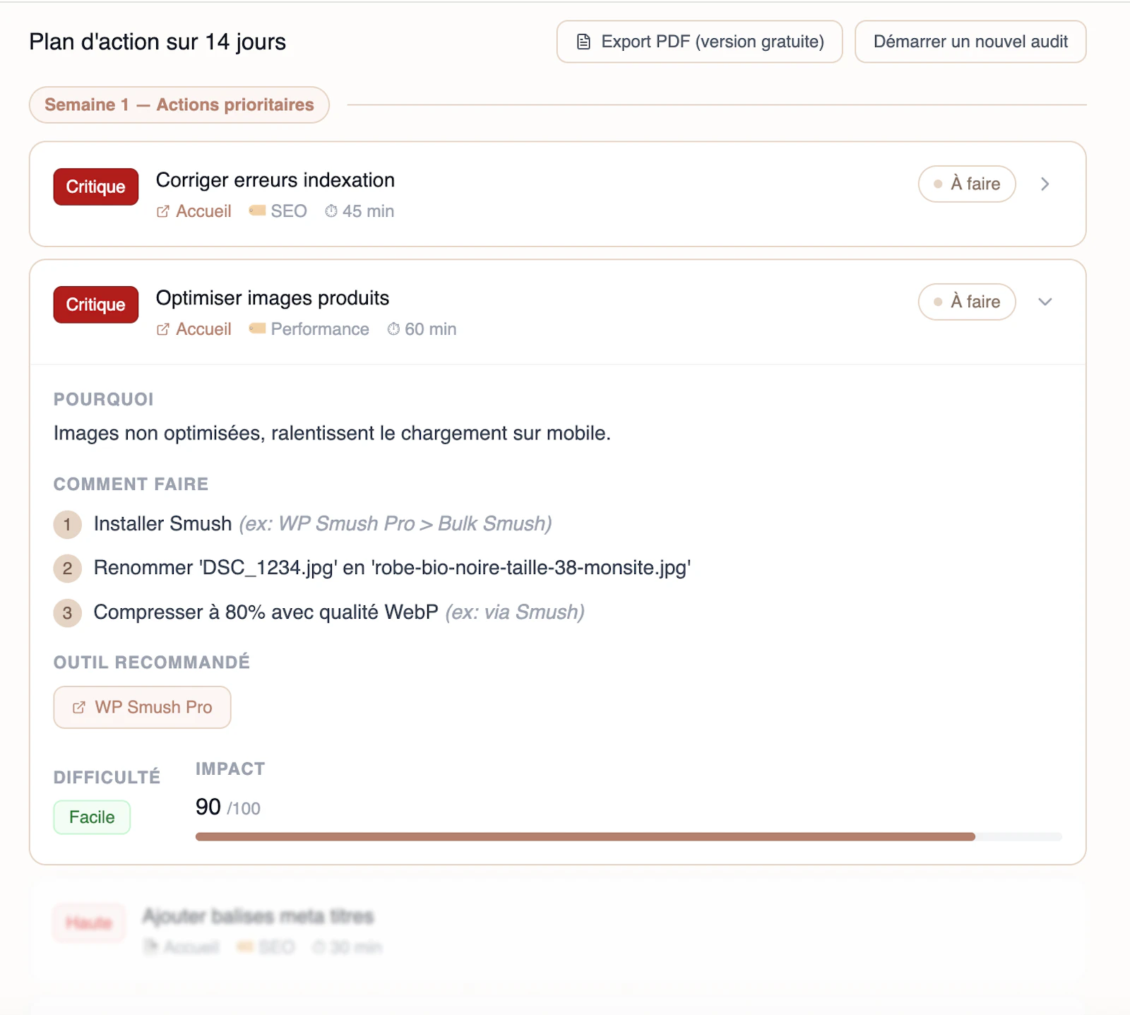 Site audit screenshot 2