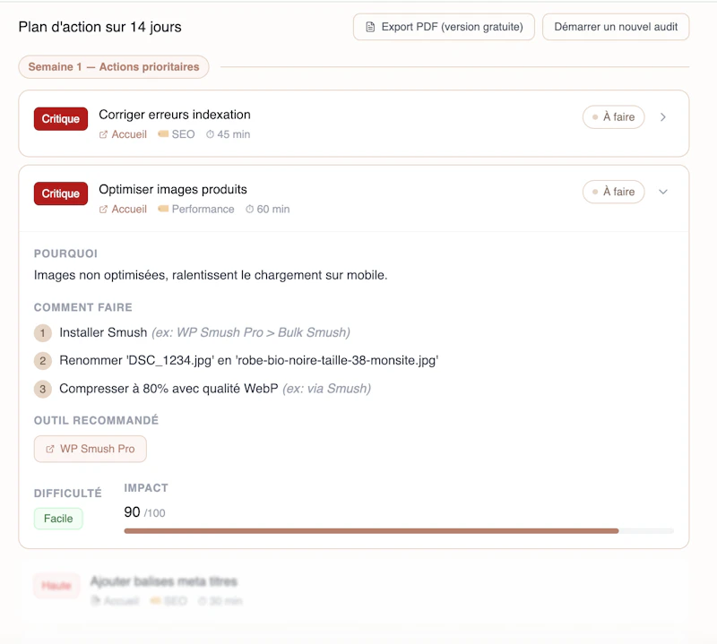 Site audit screenshot 2