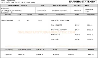 Online Pay Stub Generator gallery image