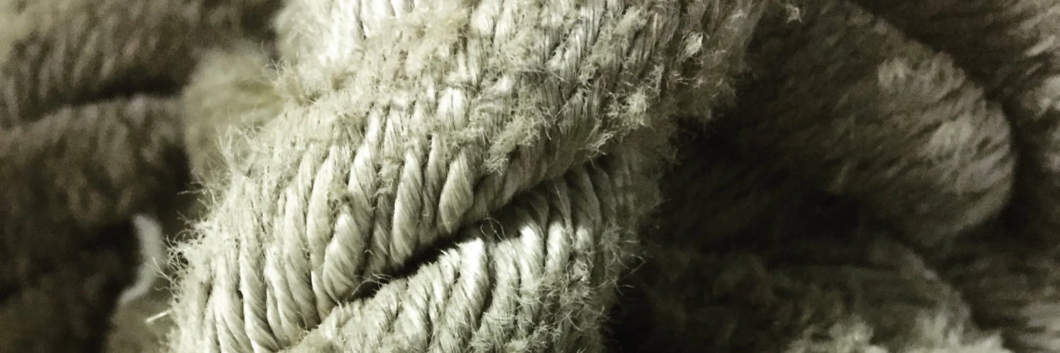 Jaquelyn Burton cover