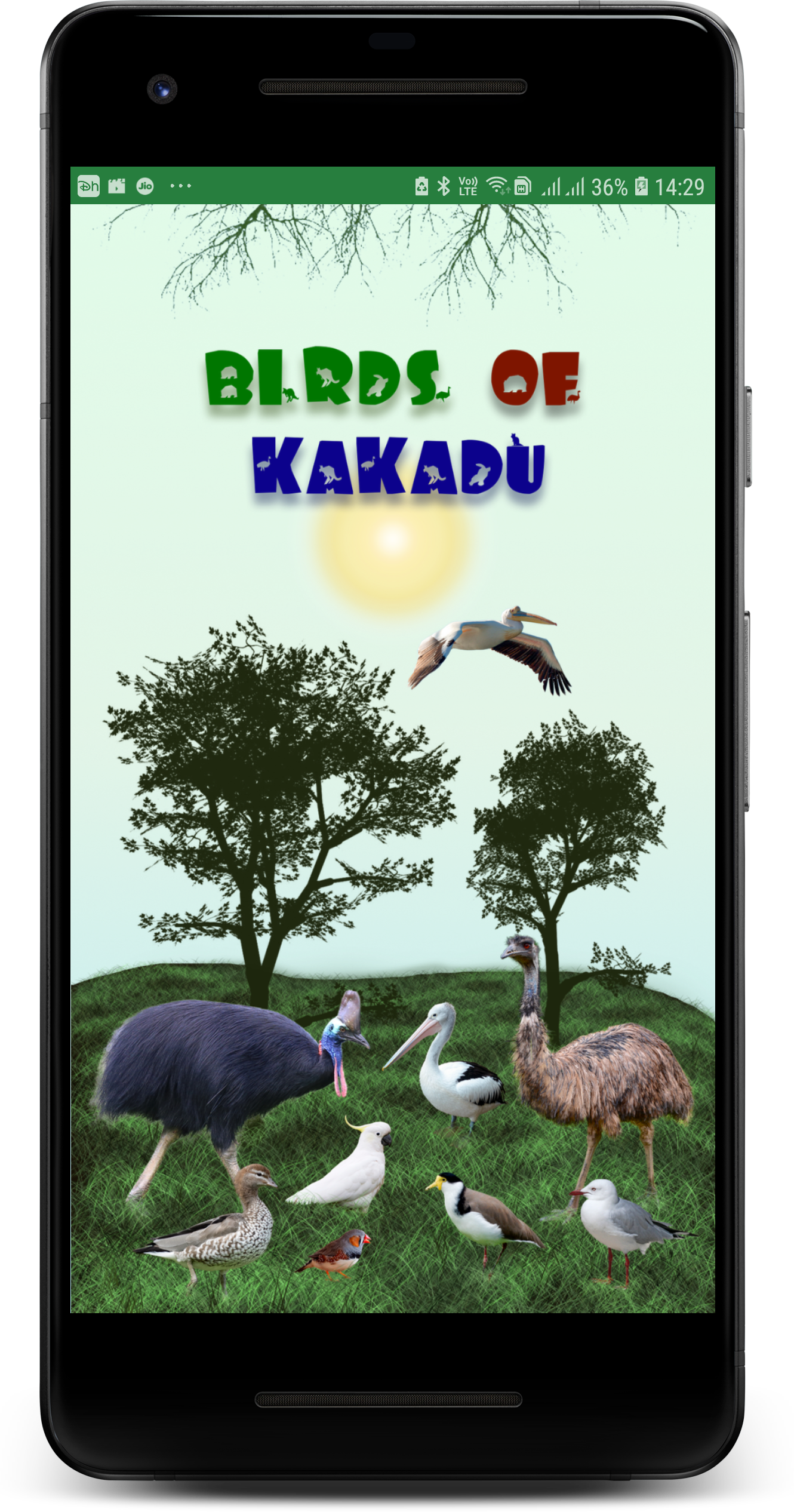 Birds of Kakadu Australia Northern Side gallery image