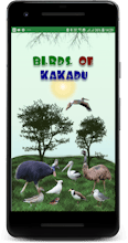 Birds of Kakadu Australia Northern Side gallery image