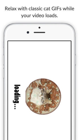 Cat Shake gallery image