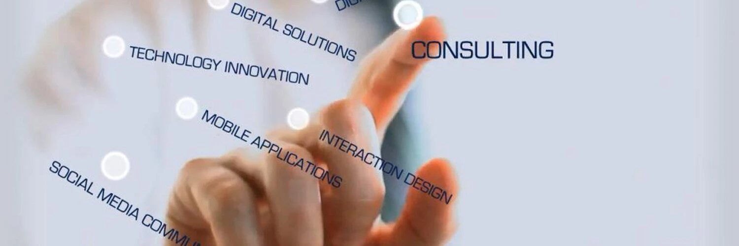 Vidiemme Consulting cover