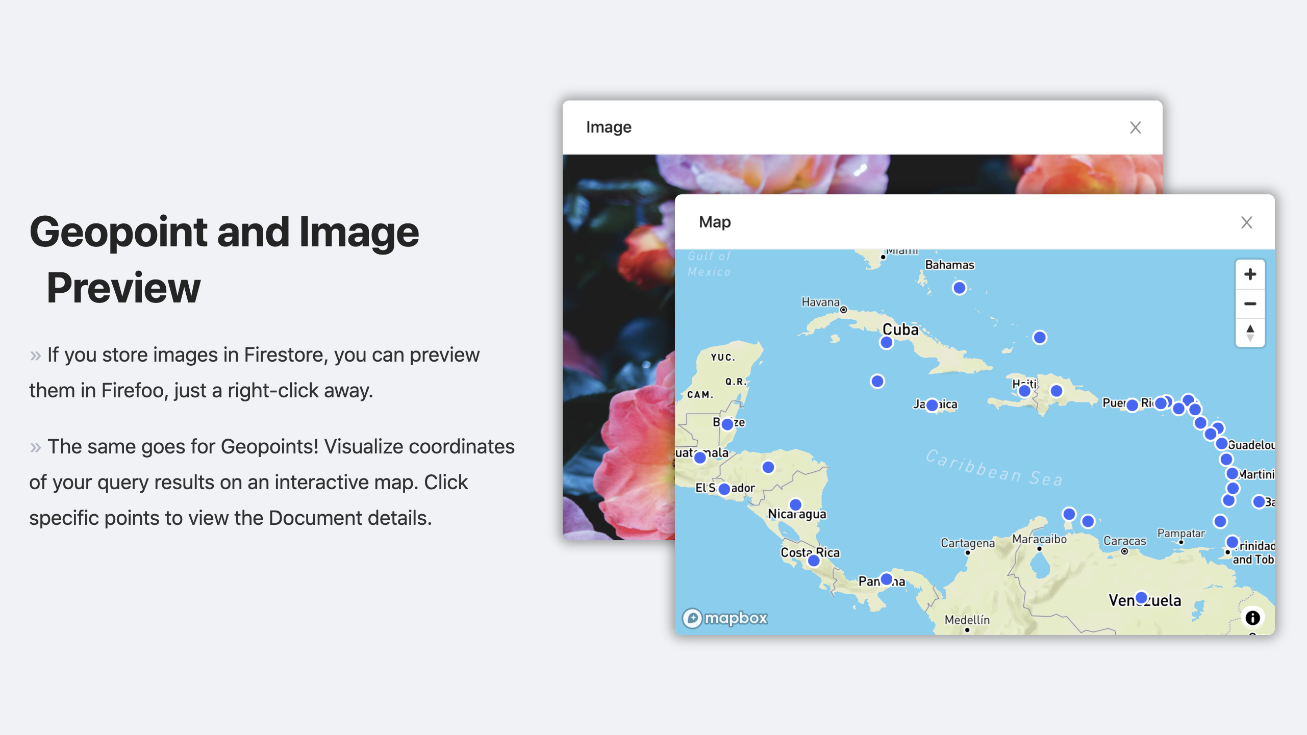 Firefoo gallery image
