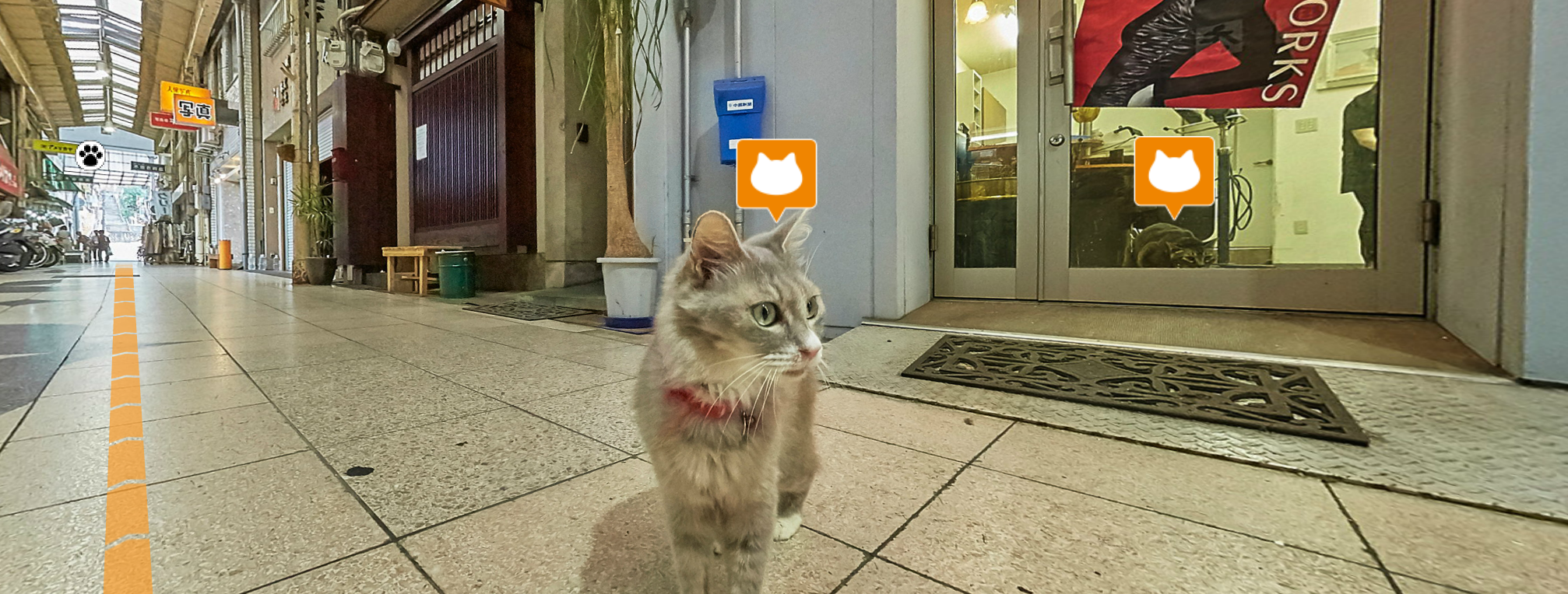 Cat Street View logo