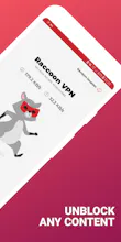 Raccoon VPN gallery image