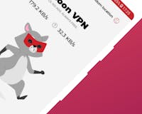 Raccoon VPN media 2