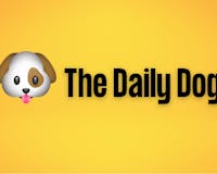 The Daily Dog media 1