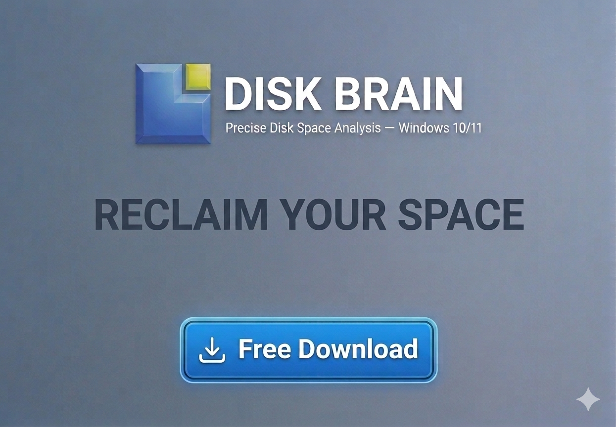 DiskBrain gallery image