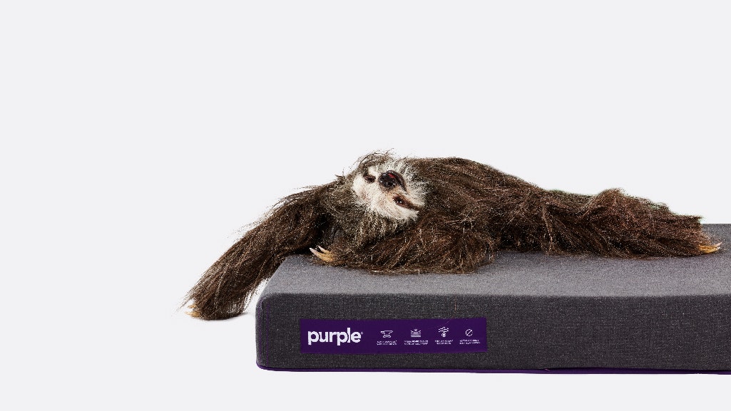 Purple Pet Bed gallery image