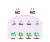 Axalyn gallery image