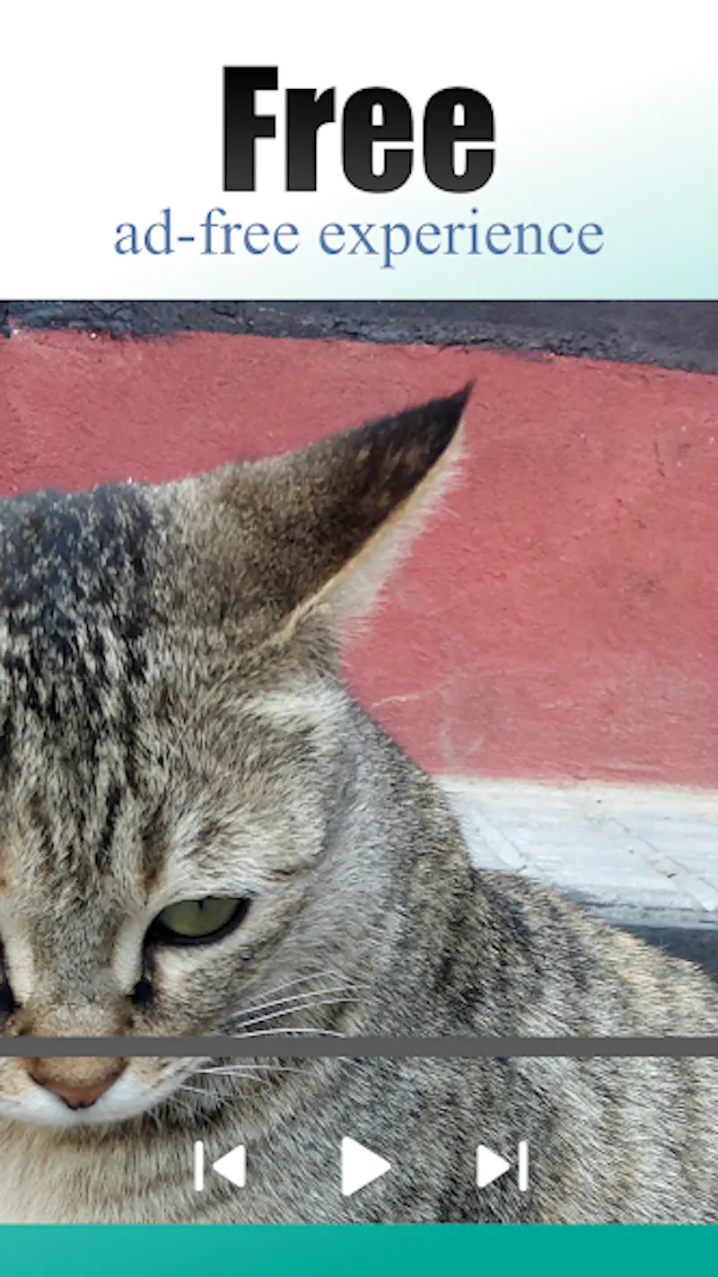Flixi screenshot 5