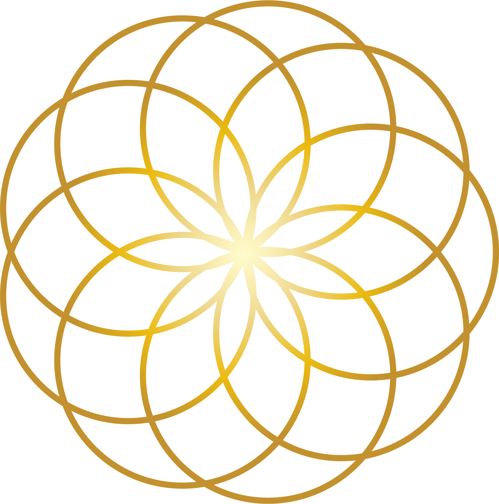 Wellness Supplement Shop