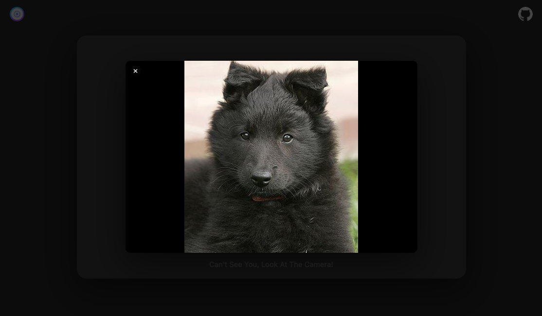 Bob The Bot gallery image