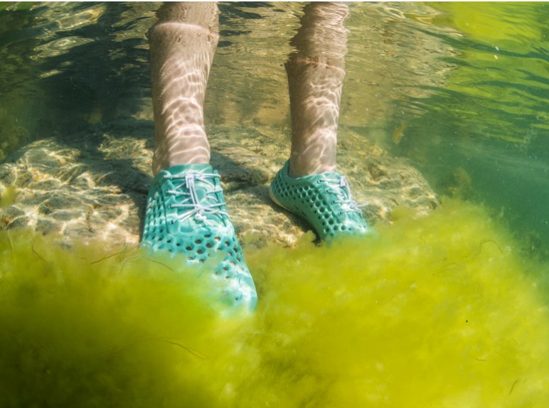 VIVOBAREFOOT X BLOOM Image
