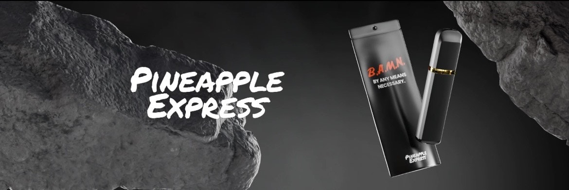 Animate & Create gallery image