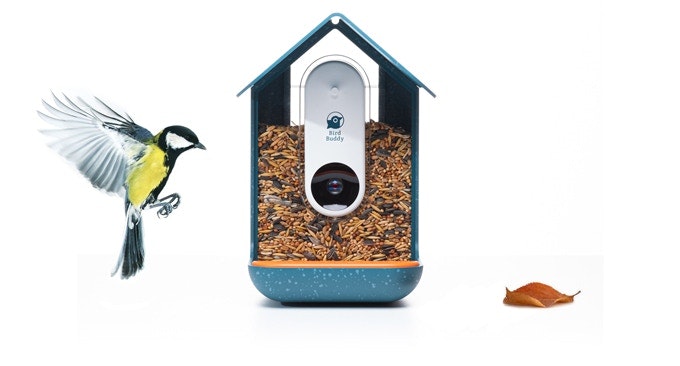 Bird Buddy Review: Birding Made Easy