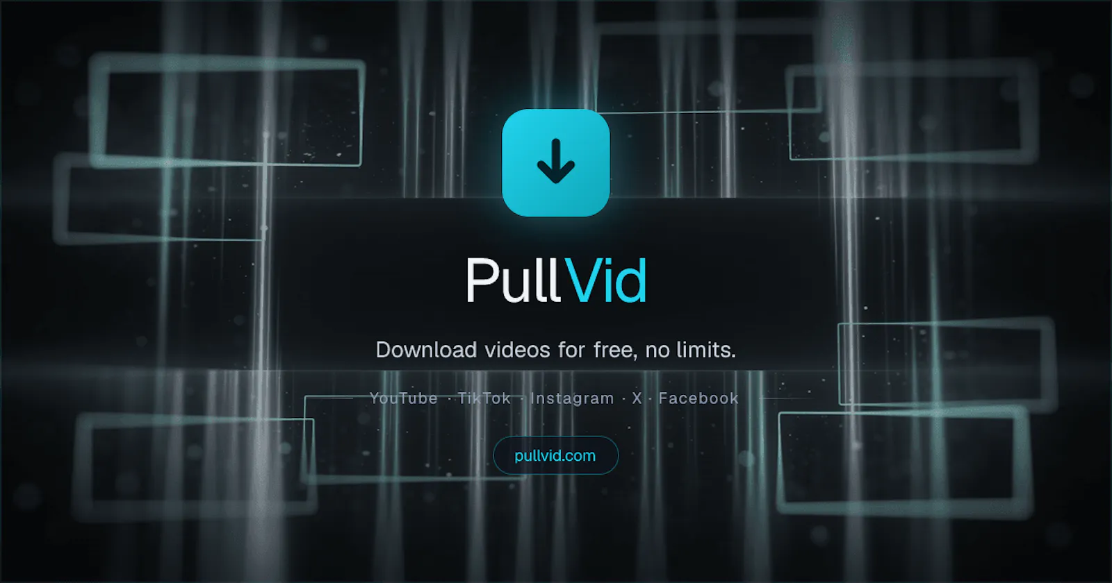 PullVid screenshot 2