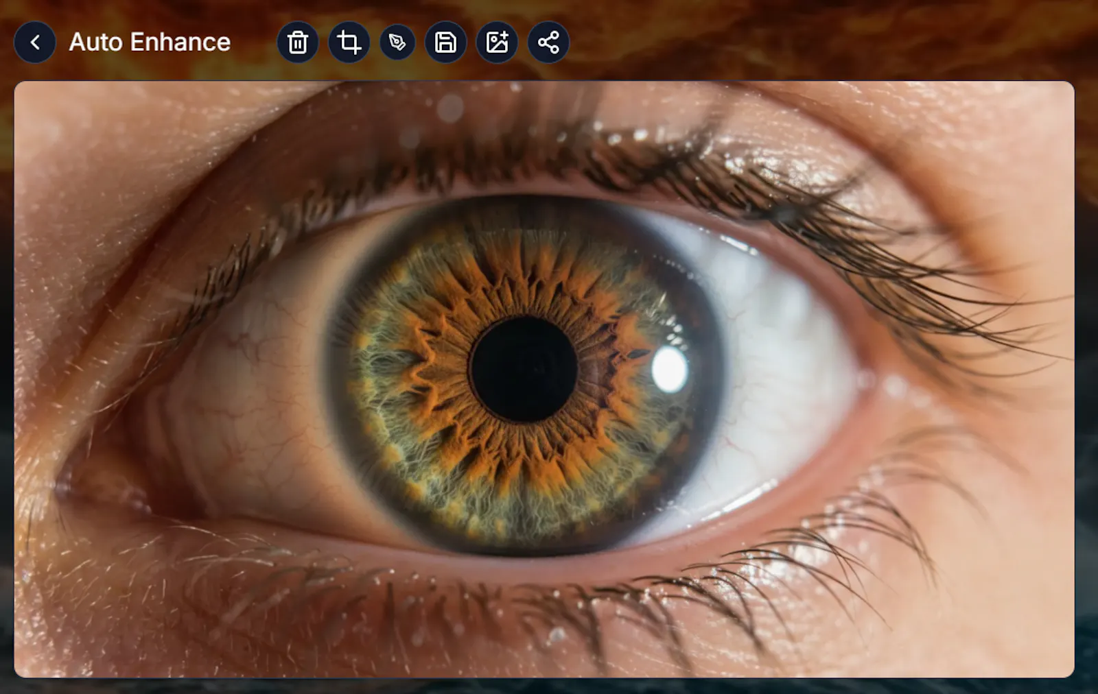 Aiall-Images screenshot 18