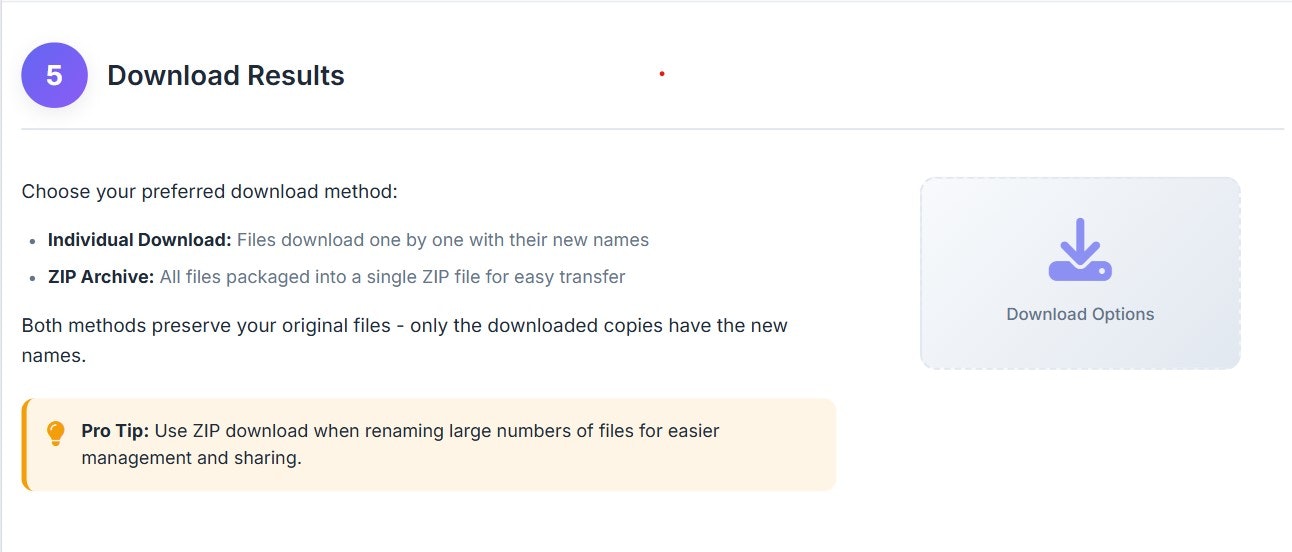 Free Bulk Filename Renamer & Formatter gallery image
