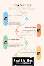 Real Diy Blog gallery image