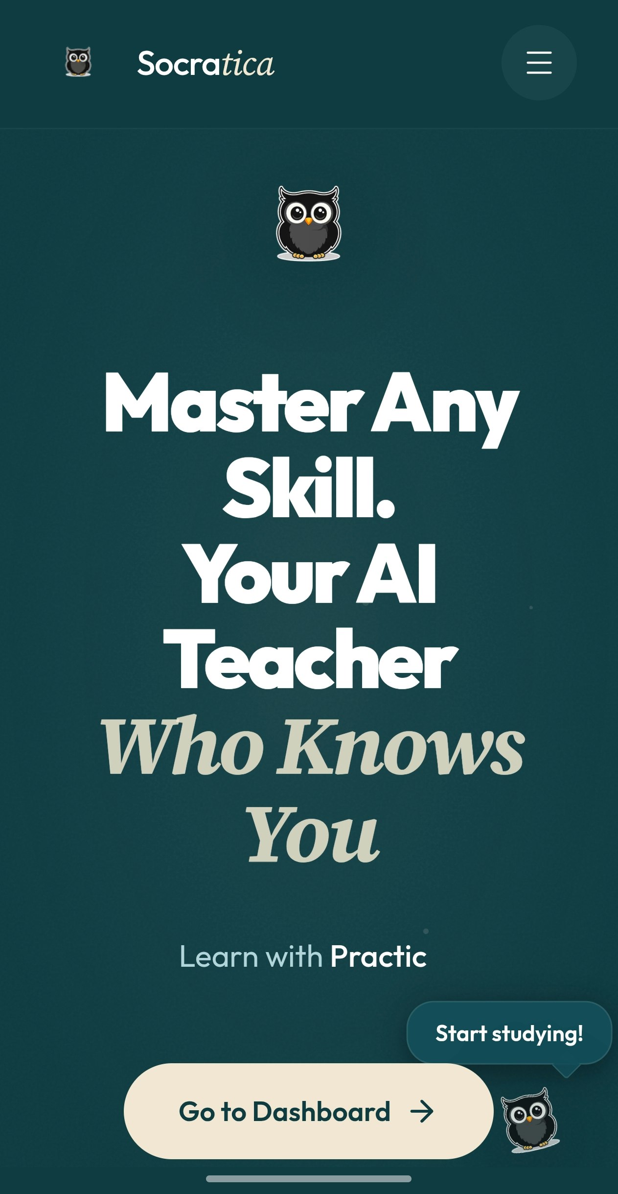 Socratica gallery image